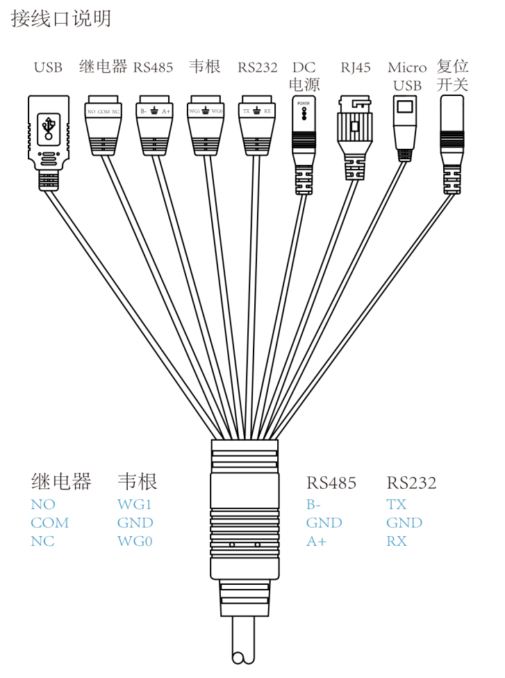 人脸识别测温面板机(图5)